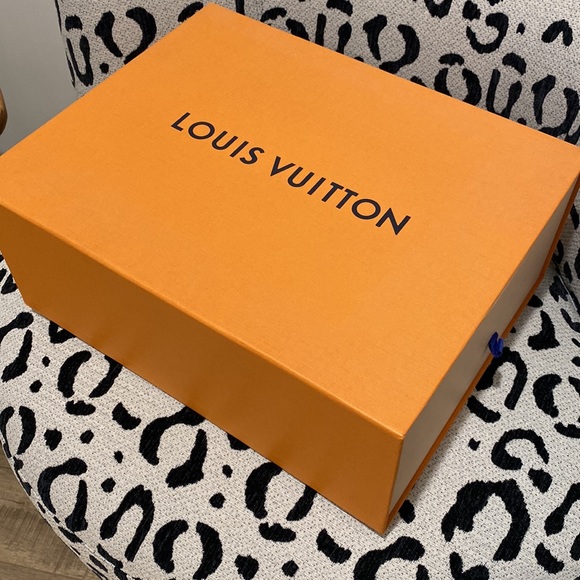 Louis Vuitton Low Top Chunky Sneakers - Picture 7 of 8